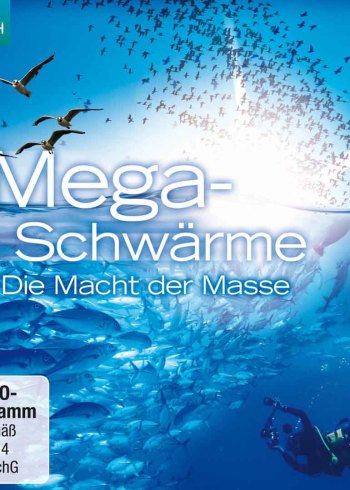 当超级动物群入侵