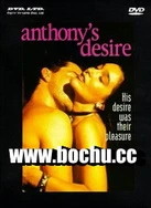 国产精品久久久久久日日导航