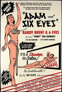 岳婿之战赵雅琴免费阅读